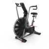 Schwinn Airdyne AD Pro - Image 3