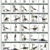 Progression PV1000 Vibration Trainer - Image 3