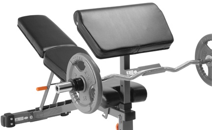 Progression Fitness PFX213 Arm Curl Attachment Flaman Fitness